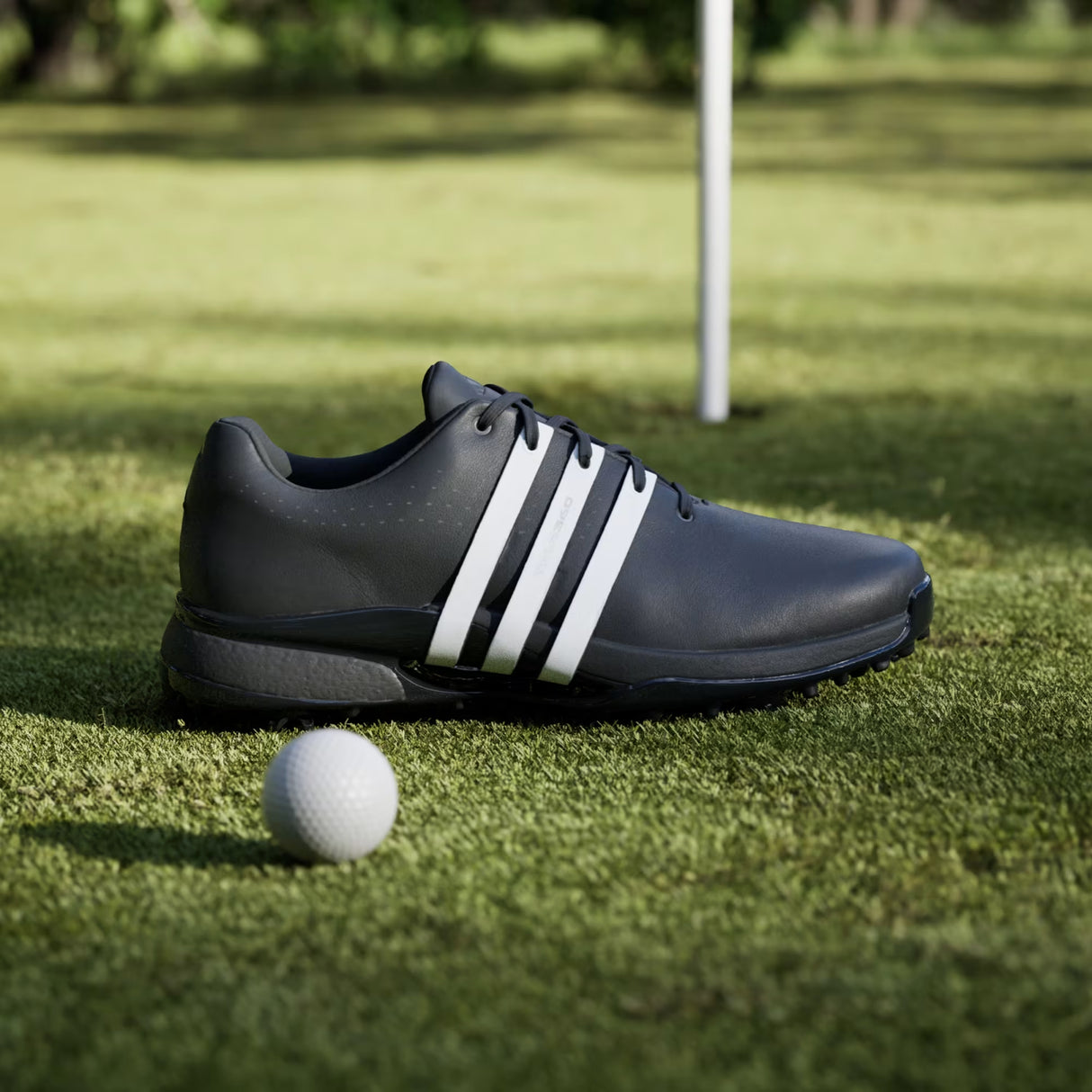 Zapatos Adidas Tour 360 24