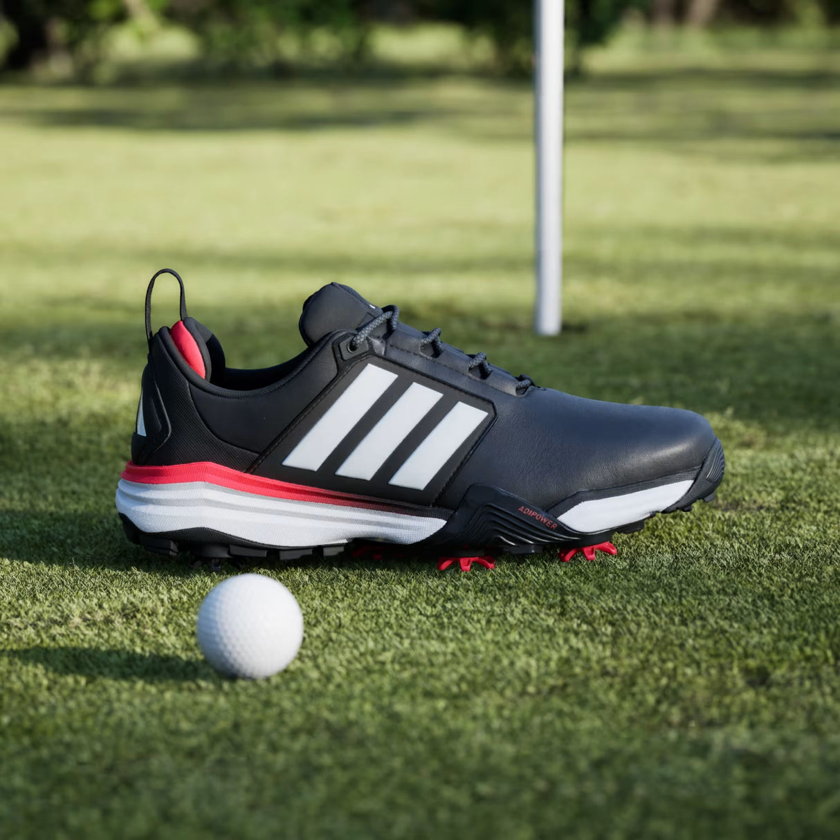 Zapato Adidas Adipower Spike 26