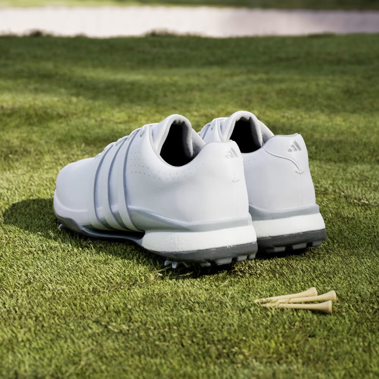 Zapatos Adidas Tour 360 24