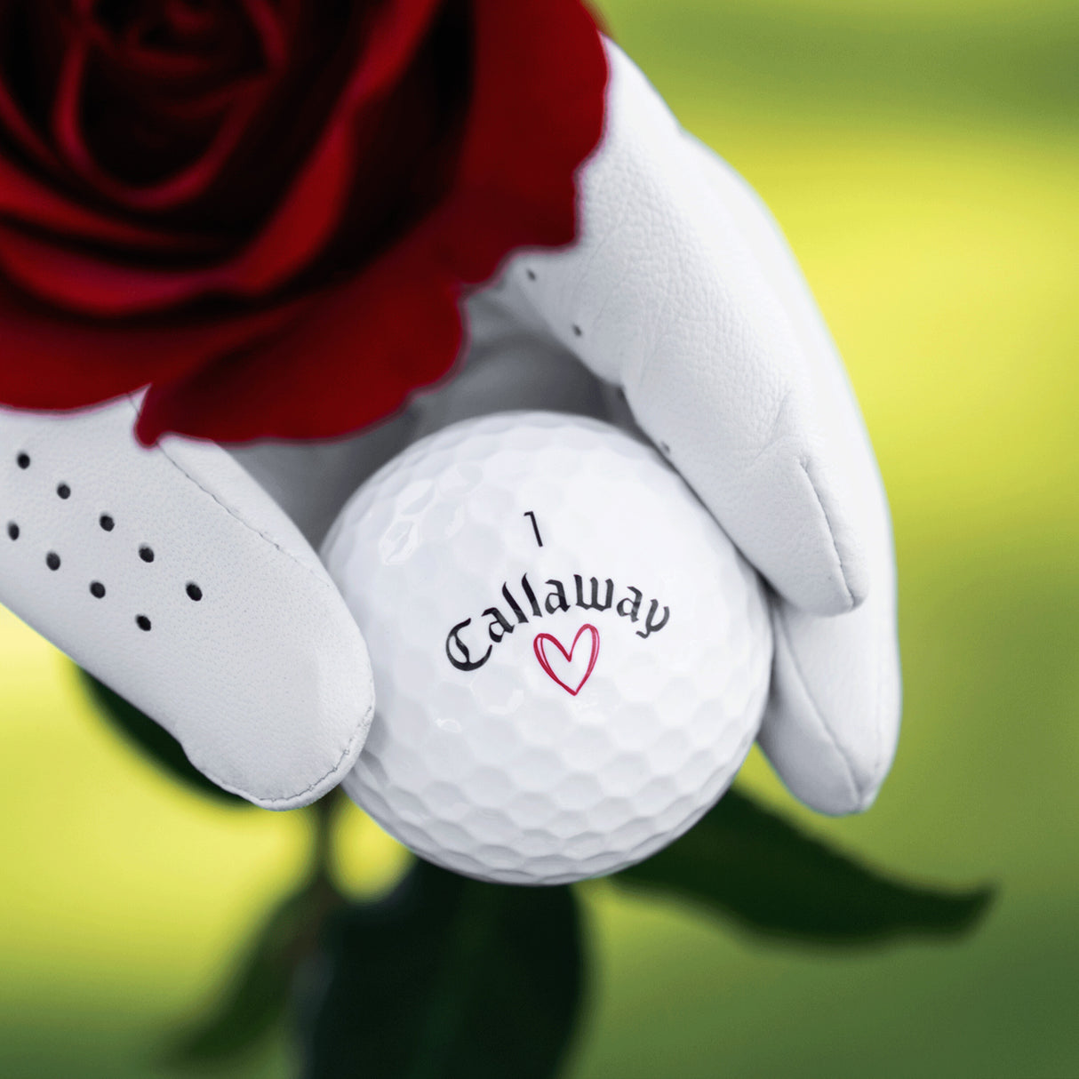Pelotas de Golf Callaway Supersoft Love Docena