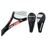 Raqueta Tenis Babolat Falcon Strung 105