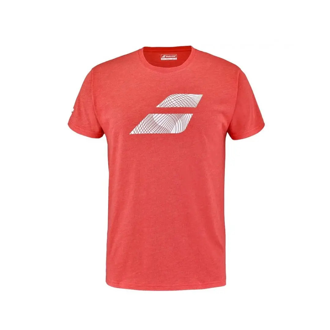Polera Babolat Exercise Big Flag Tee Men