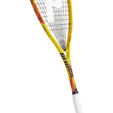 PHOENIX ELITE 700
