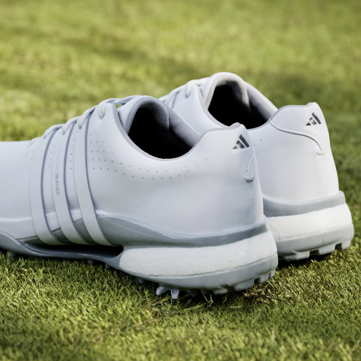 Zapato Adidas Tour 360 Spike