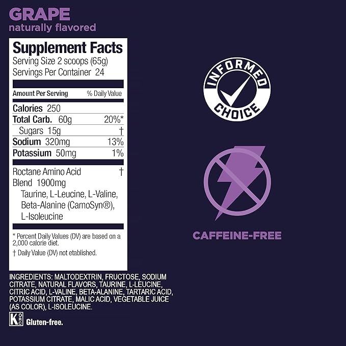 GU Energy Roctane Energy Drink Mix | 24SRV Canister, Grape
