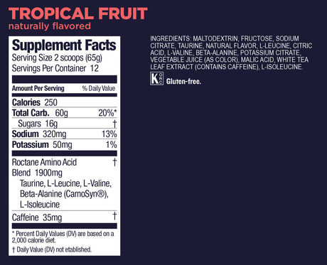 Roctane Energy Drink Mix 12srv Canister, Tropical Fruit GU - Rideshop