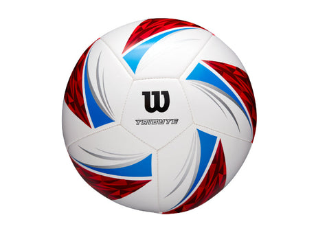 PELOTA DE FÚTBOL TRIBUTE SB BLRD / TAMAÑO 5