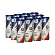 PELOTA DE TENIS ROLAND GARROS CLAY CT X12 (3 BALL)