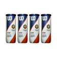 PELOTA DE TENIS ROLAND GARROS CLAY CT X4 (3 BALL)